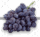 demo-attachment-489-fresh-blue-grapes-isolated-on-a-white-background-PHBB52U